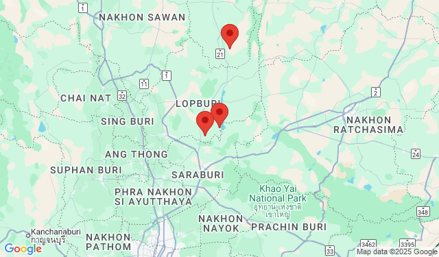 หนาวนี้ เขื่อนป่าสักฯ-ชมทุ่งดอกทานตะวัน-เขาค้อ